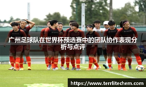 广州足球队在世界杯预选赛中的团队协作表现分析与点评